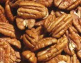/album/castanhas/noz-pecan-jpg/